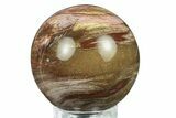 Colorful Petrified Wood (Araucaria) Sphere - Madagascar #286134-1